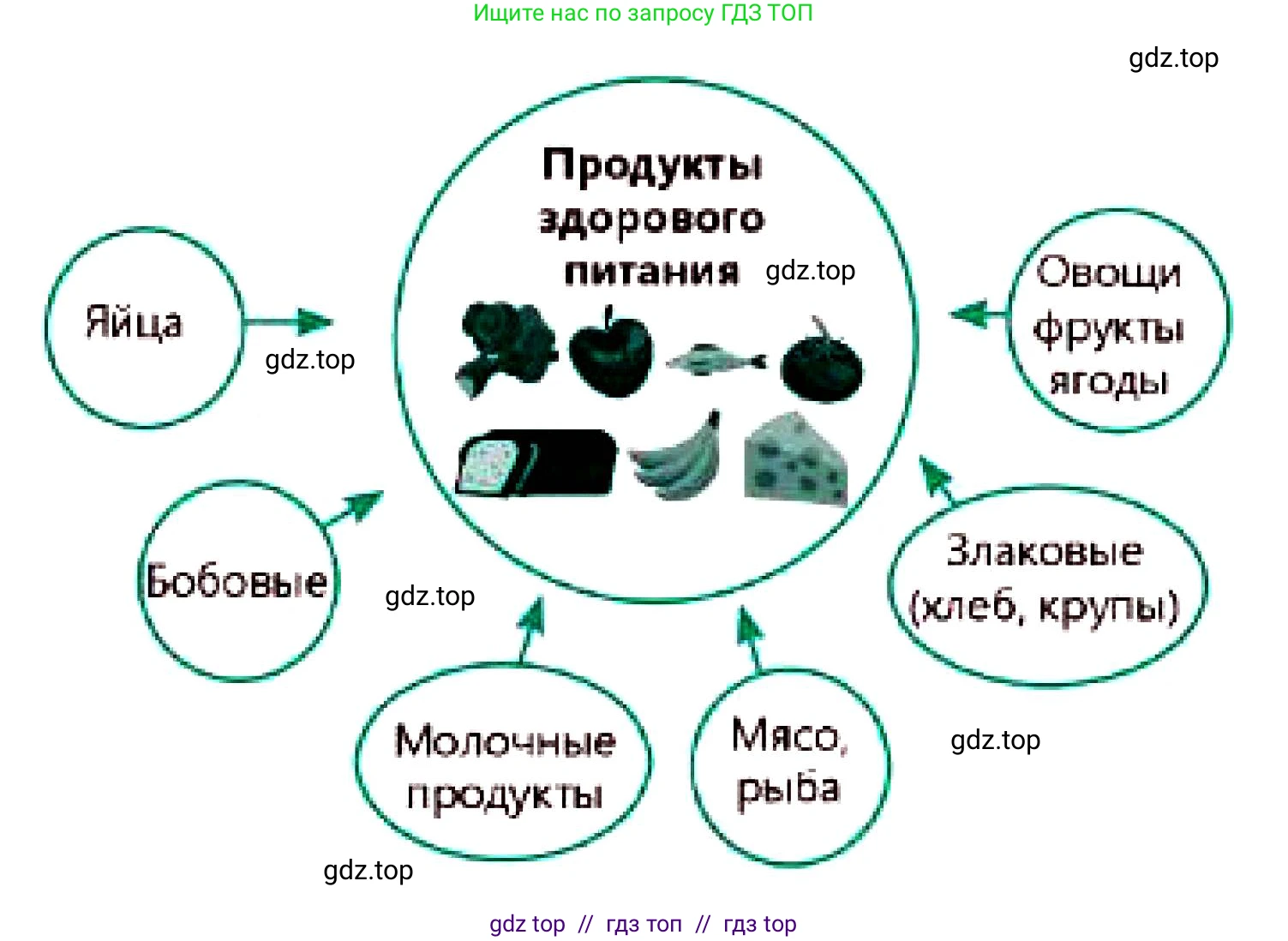 Русский язык, 7 класс Учебник, авторы: Сабитова Зинаида Какбаевна, Скляренко Ксения Сергеевна, Дюсенова Динара Сагимжановна, Жанкидирова Гульжан Токтарбековна, издательство Мектеп, Алматы, 2025, страница 214, номер 387, Условие (продолжение 2)