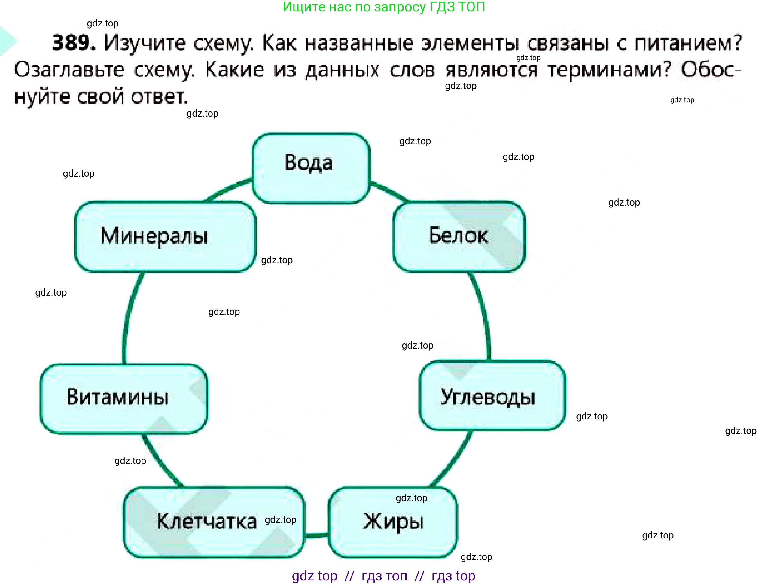 Русский язык, 7 класс Учебник, авторы: Сабитова Зинаида Какбаевна, Скляренко Ксения Сергеевна, Дюсенова Динара Сагимжановна, Жанкидирова Гульжан Токтарбековна, издательство Мектеп, Алматы, 2025, страница 215, номер 389, Условие