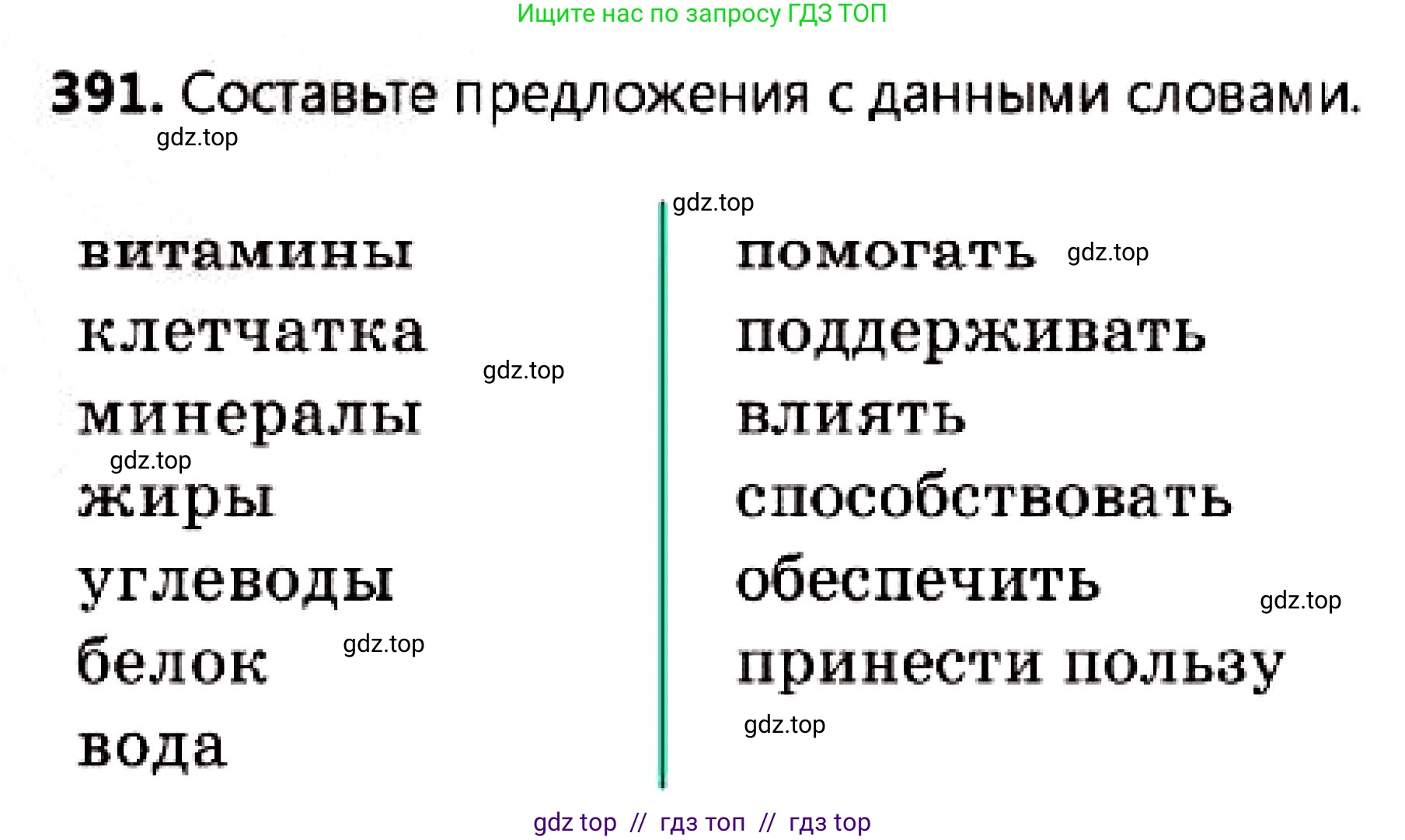 Русский язык, 7 класс Учебник, авторы: Сабитова Зинаида Какбаевна, Скляренко Ксения Сергеевна, Дюсенова Динара Сагимжановна, Жанкидирова Гульжан Токтарбековна, издательство Мектеп, Алматы, 2025, страница 216, номер 391, Условие