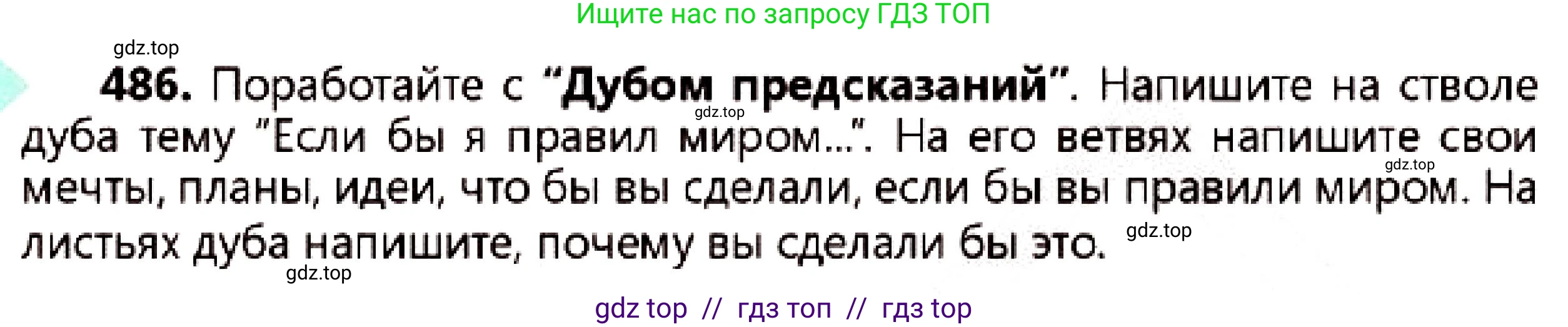Русский язык, 7 класс Учебник, авторы: Сабитова Зинаида Какбаевна, Скляренко Ксения Сергеевна, Дюсенова Динара Сагимжановна, Жанкидирова Гульжан Токтарбековна, издательство Мектеп, Алматы, 2025, страница 264, номер 486, Условие