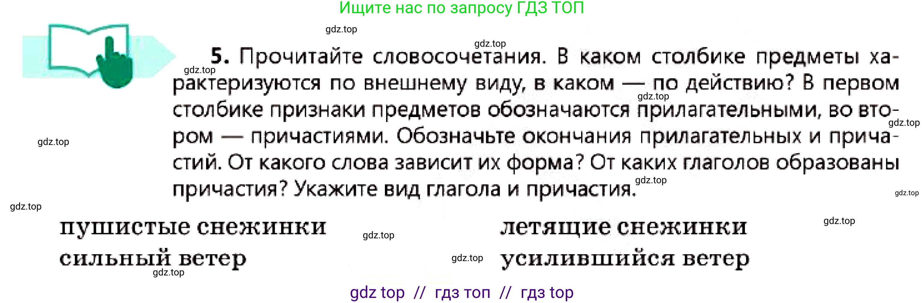 Русский язык, 7 класс Учебник, авторы: Сабитова Зинаида Какбаевна, Скляренко Ксения Сергеевна, Дюсенова Динара Сагимжановна, Жанкидирова Гульжан Токтарбековна, издательство Мектеп, Алматы, 2025, страница 7, номер 5, Условие