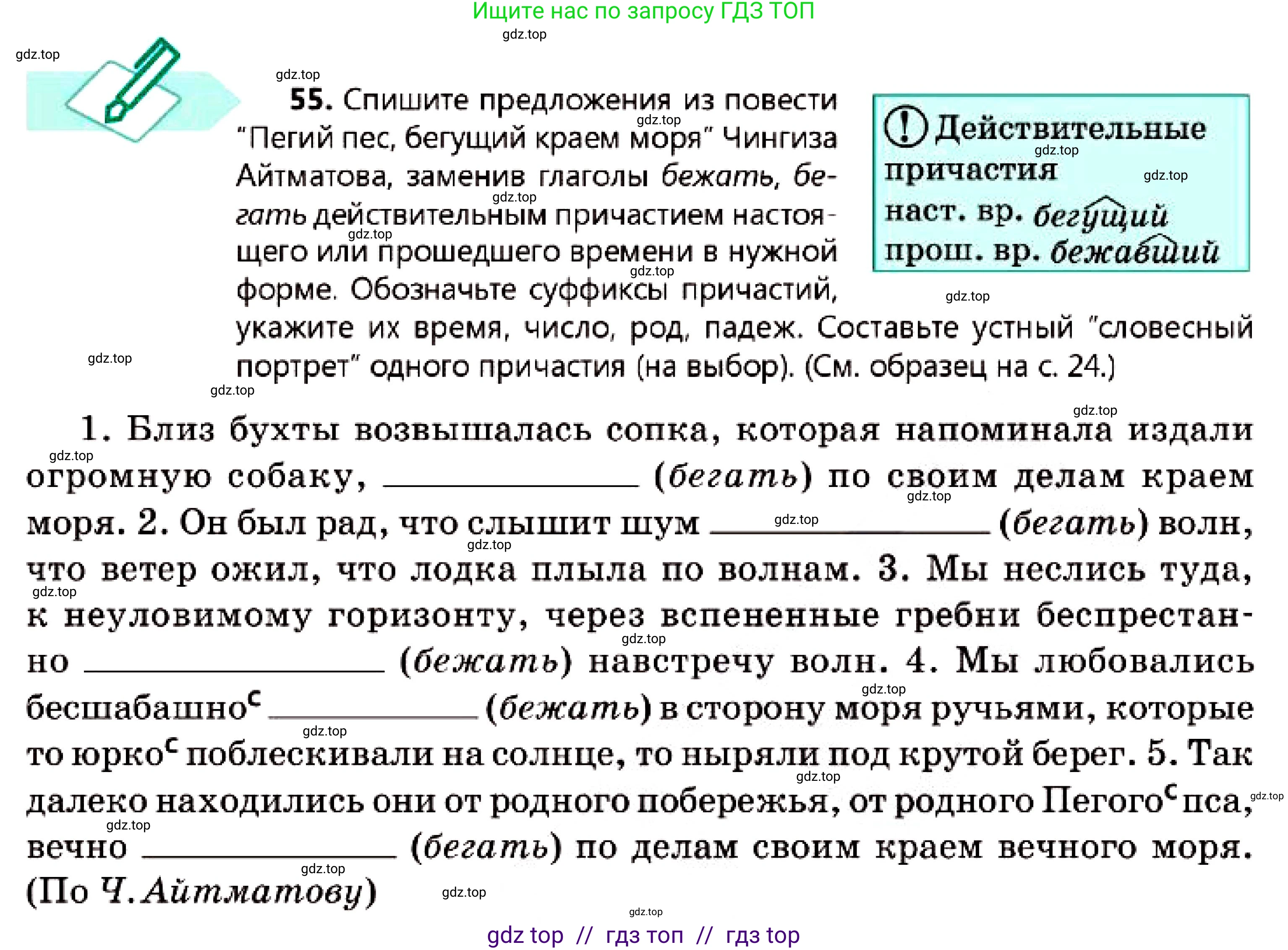 Русский язык, 7 класс Учебник, авторы: Сабитова Зинаида Какбаевна, Скляренко Ксения Сергеевна, Дюсенова Динара Сагимжановна, Жанкидирова Гульжан Токтарбековна, издательство Мектеп, Алматы, 2025, страница 32, номер 55, Условие