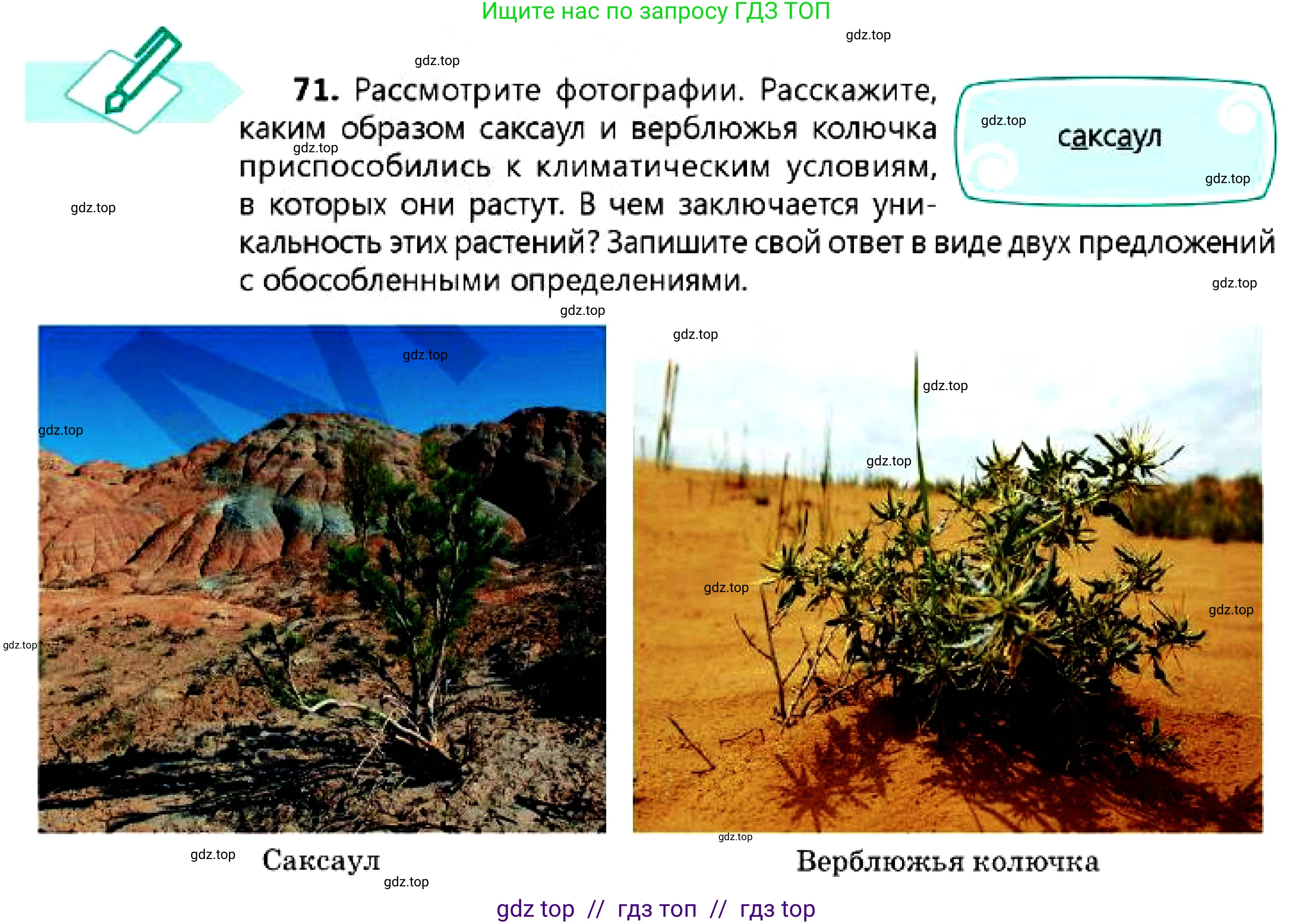 Русский язык, 7 класс Учебник, авторы: Сабитова Зинаида Какбаевна, Скляренко Ксения Сергеевна, Дюсенова Динара Сагимжановна, Жанкидирова Гульжан Токтарбековна, издательство Мектеп, Алматы, 2025, страница 41, номер 71, Условие