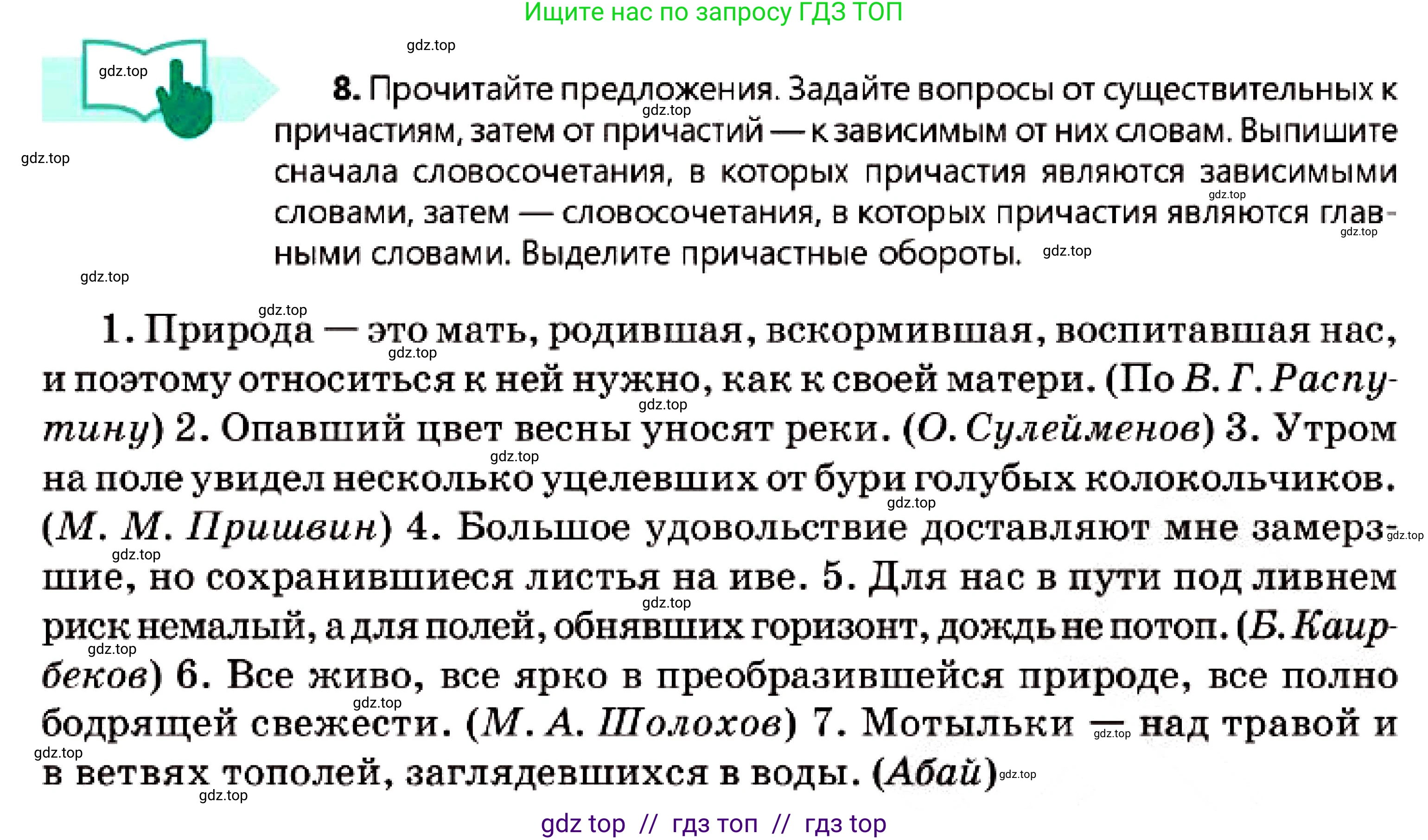 Русский язык, 7 класс Учебник, авторы: Сабитова Зинаида Какбаевна, Скляренко Ксения Сергеевна, Дюсенова Динара Сагимжановна, Жанкидирова Гульжан Токтарбековна, издательство Мектеп, Алматы, 2025, страница 9, номер 8, Условие