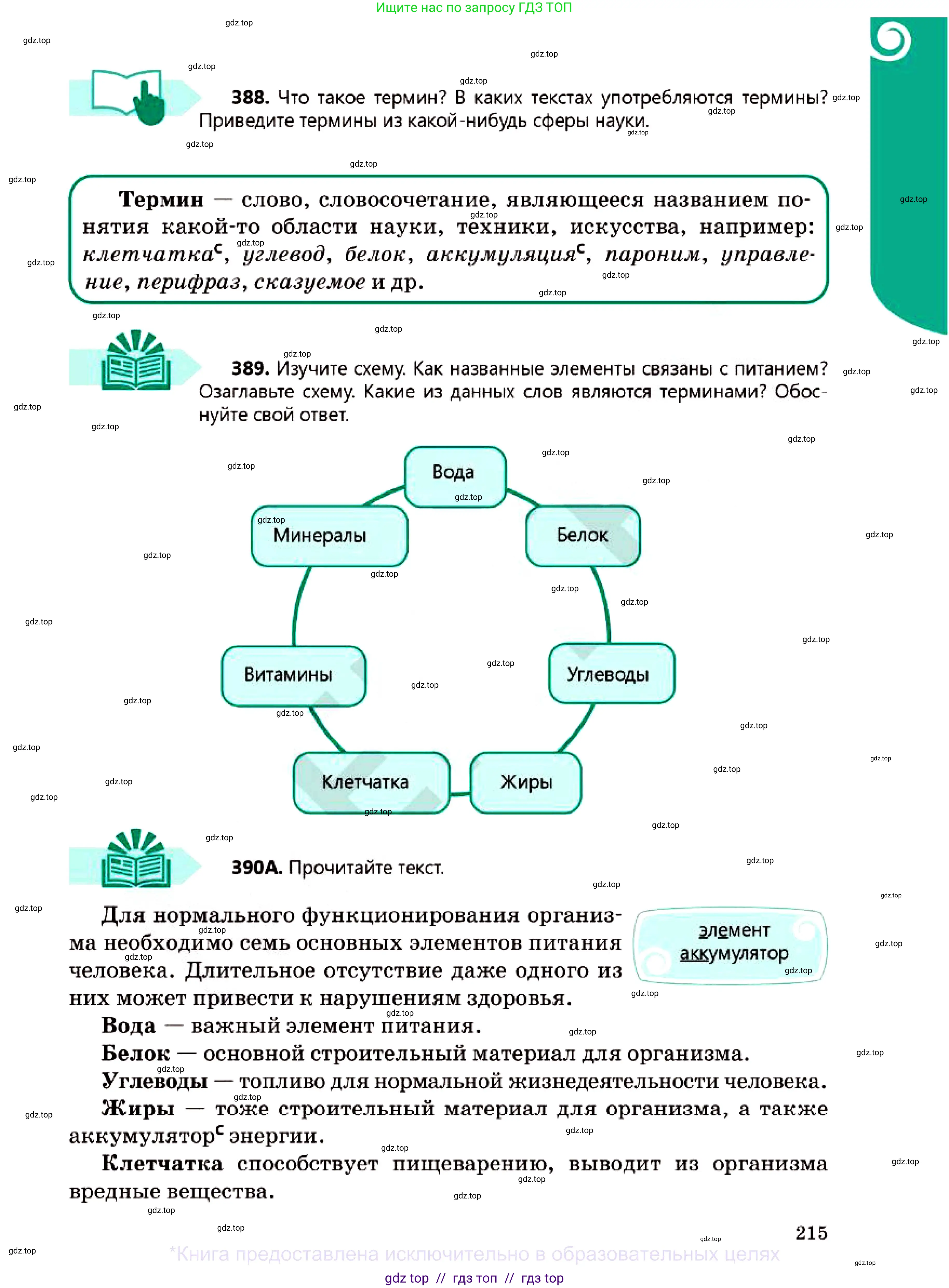 Русский язык, 7 класс Учебник, авторы: Сабитова Зинаида Какбаевна, Скляренко Ксения Сергеевна, Дюсенова Динара Сагимжановна, Жанкидирова Гульжан Токтарбековна, издательство Мектеп, Алматы, 2025, страница 215