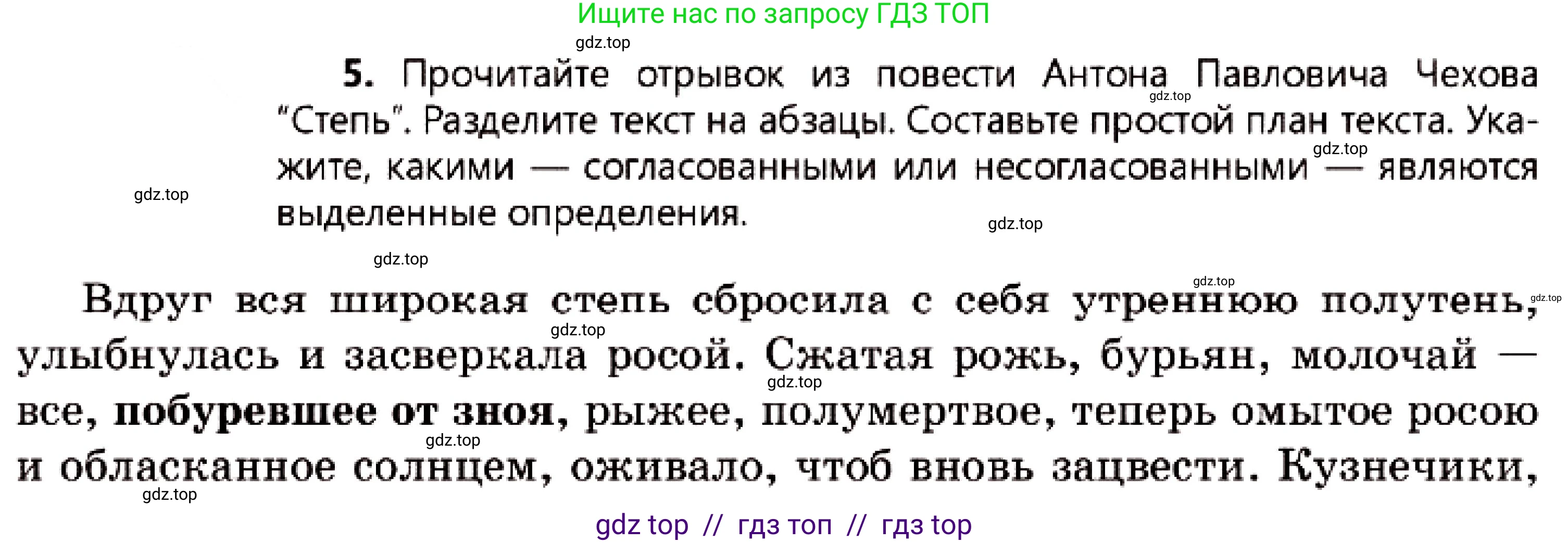 Русский язык, 7 класс Учебник, авторы: Сабитова Зинаида Какбаевна, Скляренко Ксения Сергеевна, Дюсенова Динара Сагимжановна, Жанкидирова Гульжан Токтарбековна, издательство Мектеп, Алматы, 2025, страница 164, номер 5, Условие