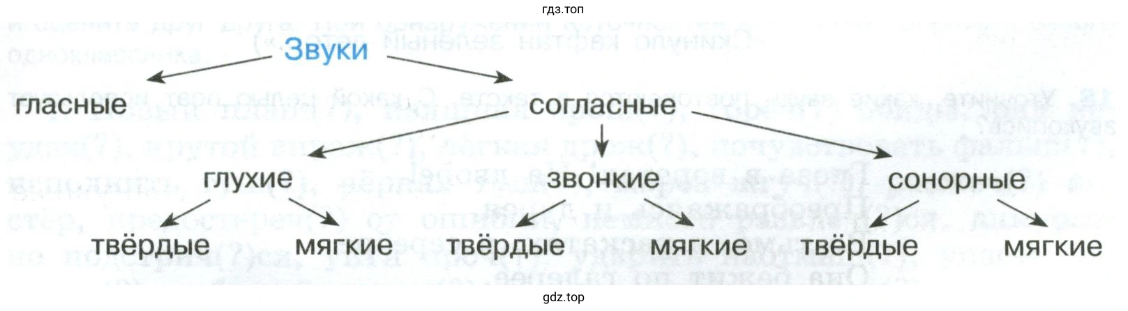 Начертить схему в тетради, вписать нужные звуки, непарные по глухости звонкости и твёрдости мягкости подчеркнуть