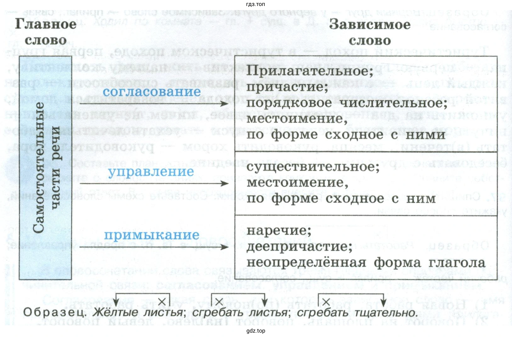 Составить и записать словосочетания, в которых зависимые слова были бы выражены так, как указано на схеме