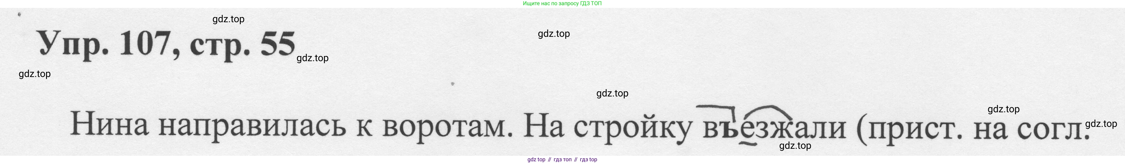 Русский язык, 8 класс Учебник, авторы: Бархударов Степан Григорьевич, Крючков Сергей Ефимович, Максимов Леонард Юрьевич, Чешко Лев Антонович, Николина Наталия Анатольевна, Мишина Клара Ивановна, Текучева Ирина Викторовна, Курцева Зоя Ивановна, Комиссарова Людмила Юрьевна, издательство Просвещение, Москва, 2023, зелёного цвета, страница 55, номер 107, Решение 1 (2023-2027)