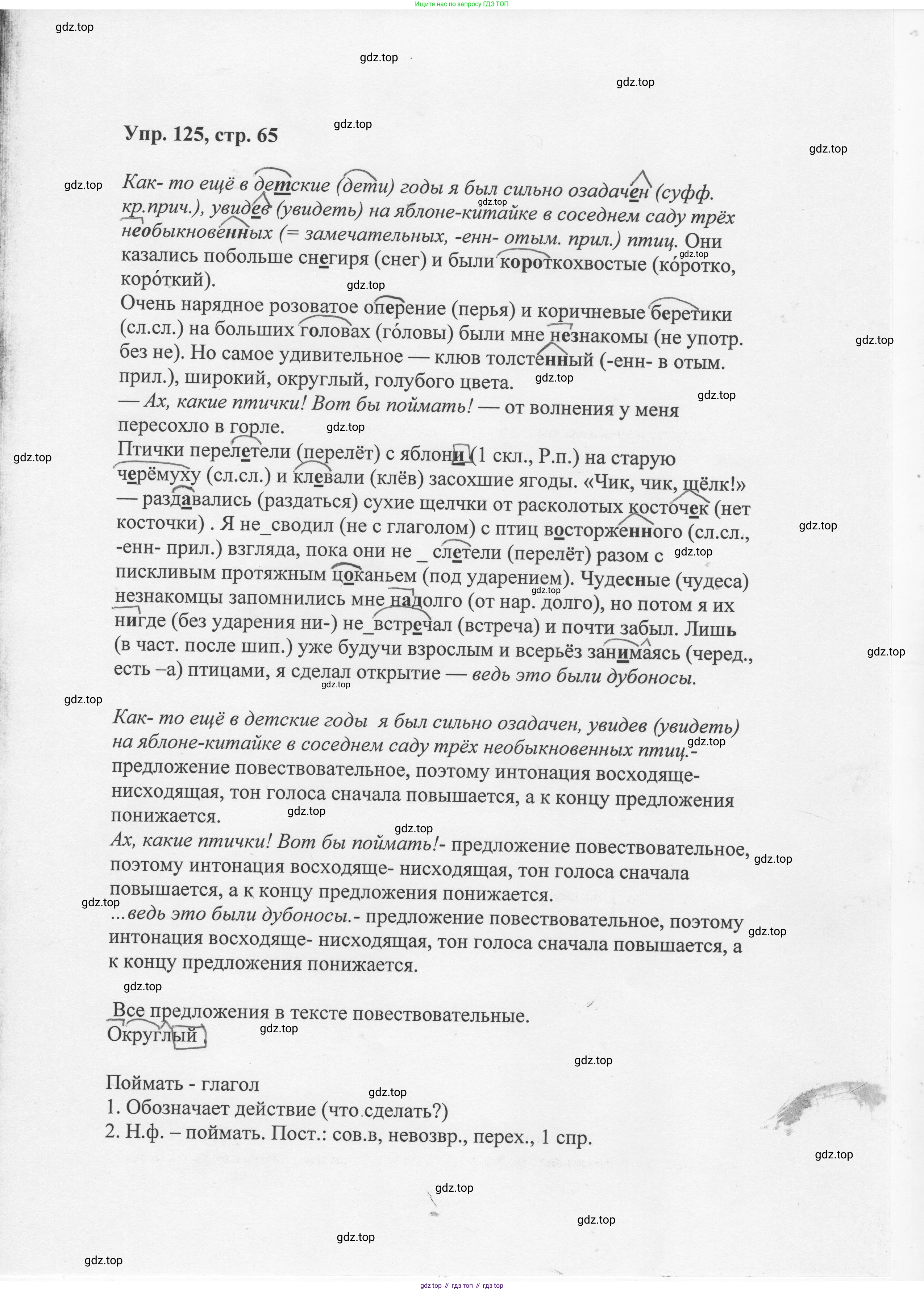 Русский язык, 8 класс Учебник, авторы: Бархударов Степан Григорьевич, Крючков Сергей Ефимович, Максимов Леонард Юрьевич, Чешко Лев Антонович, Николина Наталия Анатольевна, Мишина Клара Ивановна, Текучева Ирина Викторовна, Курцева Зоя Ивановна, Комиссарова Людмила Юрьевна, издательство Просвещение, Москва, 2023, зелёного цвета, страница 65, номер 125, Решение 1 (2023-2027)