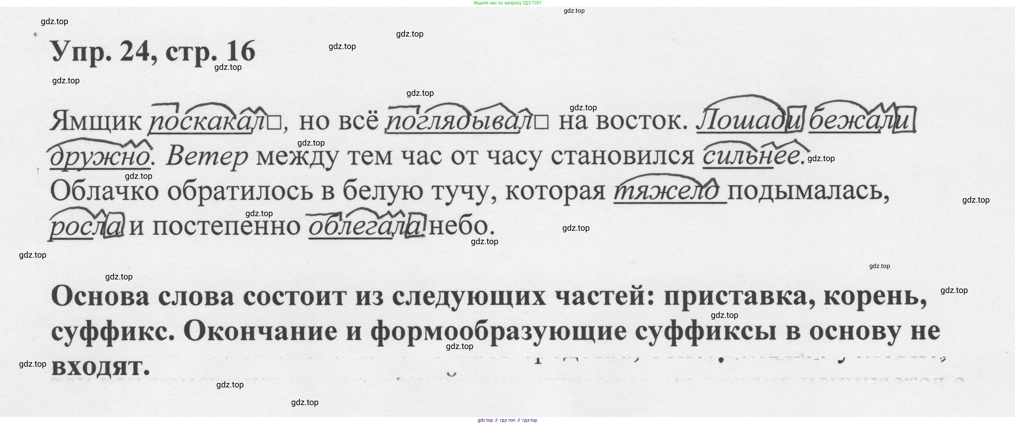 Русский язык, 8 класс Учебник, авторы: Бархударов Степан Григорьевич, Крючков Сергей Ефимович, Максимов Леонард Юрьевич, Чешко Лев Антонович, Николина Наталия Анатольевна, Мишина Клара Ивановна, Текучева Ирина Викторовна, Курцева Зоя Ивановна, Комиссарова Людмила Юрьевна, издательство Просвещение, Москва, 2023, зелёного цвета, страница 13, номер 16, Решение 1 (2023-2027)