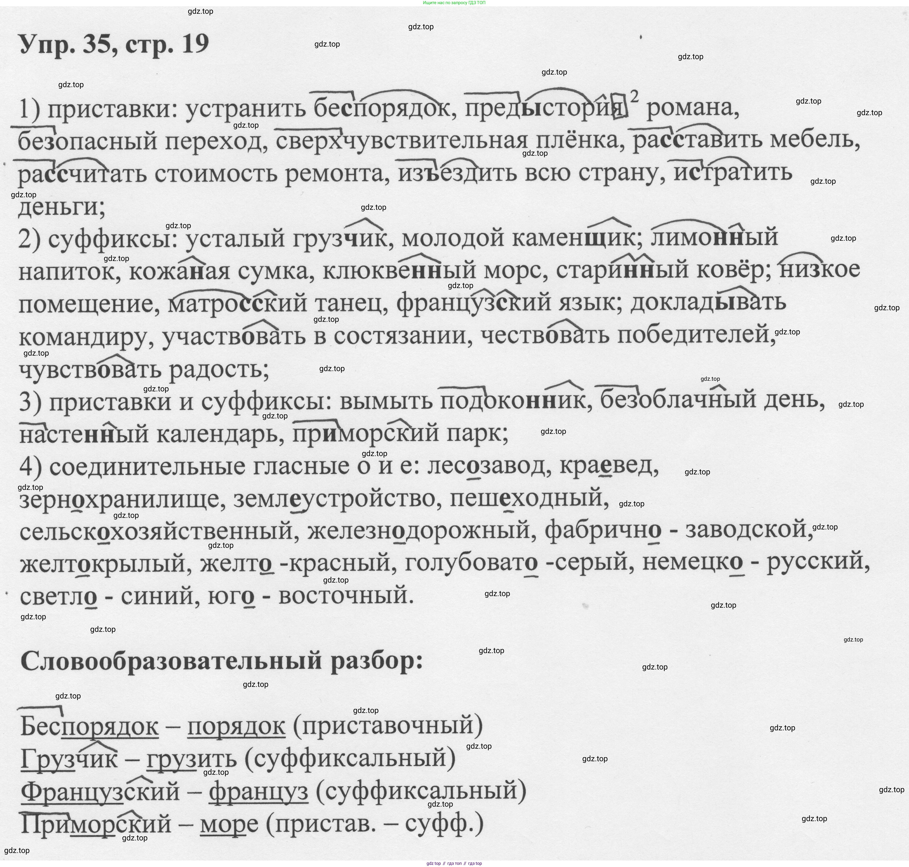 Русский язык, 8 класс Учебник, авторы: Бархударов Степан Григорьевич, Крючков Сергей Ефимович, Максимов Леонард Юрьевич, Чешко Лев Антонович, Николина Наталия Анатольевна, Мишина Клара Ивановна, Текучева Ирина Викторовна, Курцева Зоя Ивановна, Комиссарова Людмила Юрьевна, издательство Просвещение, Москва, 2023, зелёного цвета, страница 19, номер 35, Решение 1 (2023-2027)