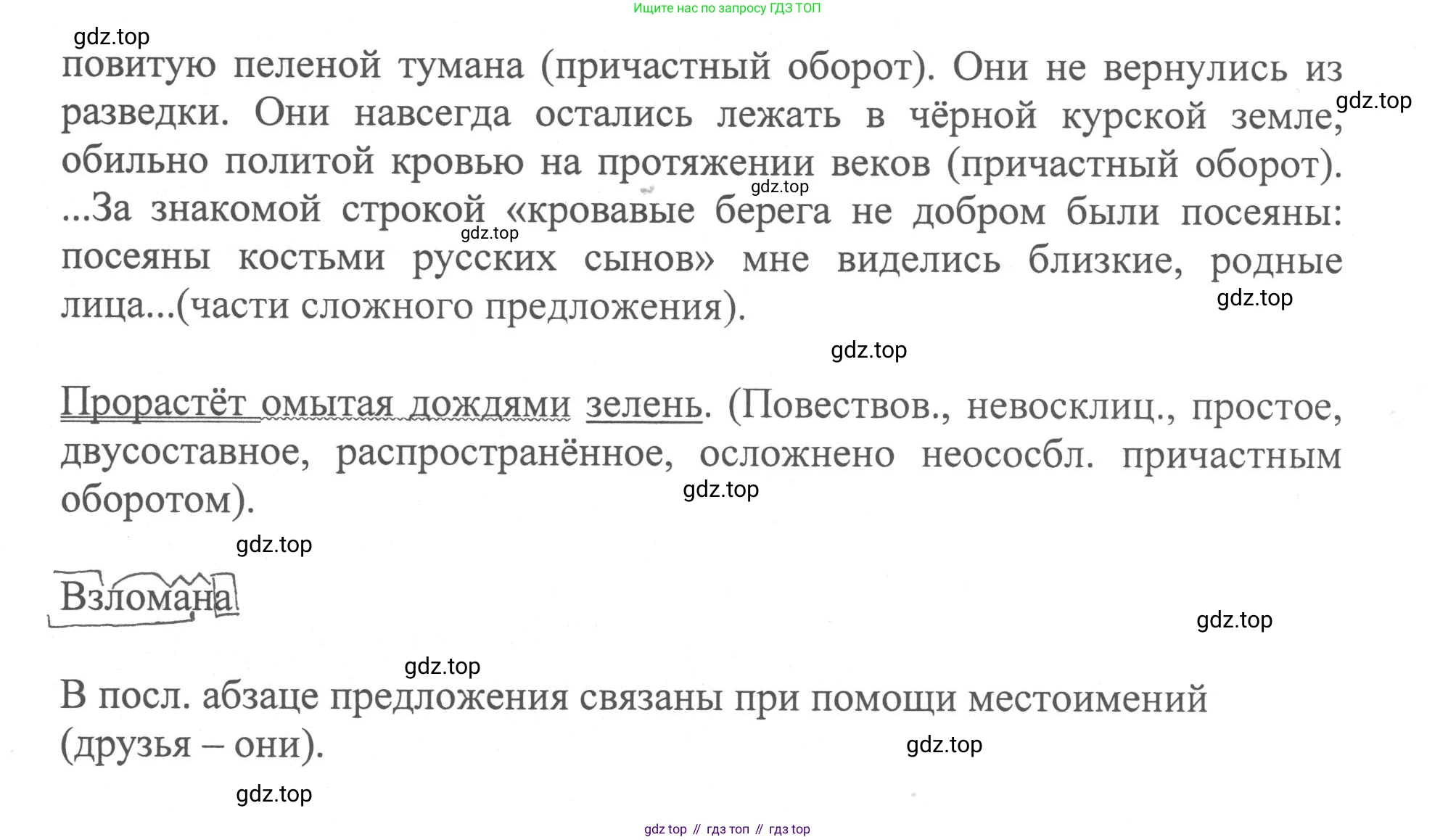 Русский язык, 8 класс Учебник, авторы: Бархударов Степан Григорьевич, Крючков Сергей Ефимович, Максимов Леонард Юрьевич, Чешко Лев Антонович, Николина Наталия Анатольевна, Мишина Клара Ивановна, Текучева Ирина Викторовна, Курцева Зоя Ивановна, Комиссарова Людмила Юрьевна, издательство Просвещение, Москва, 2023, зелёного цвета, страница 206, номер 406, Решение 1 (2023-2027) (продолжение 3)
