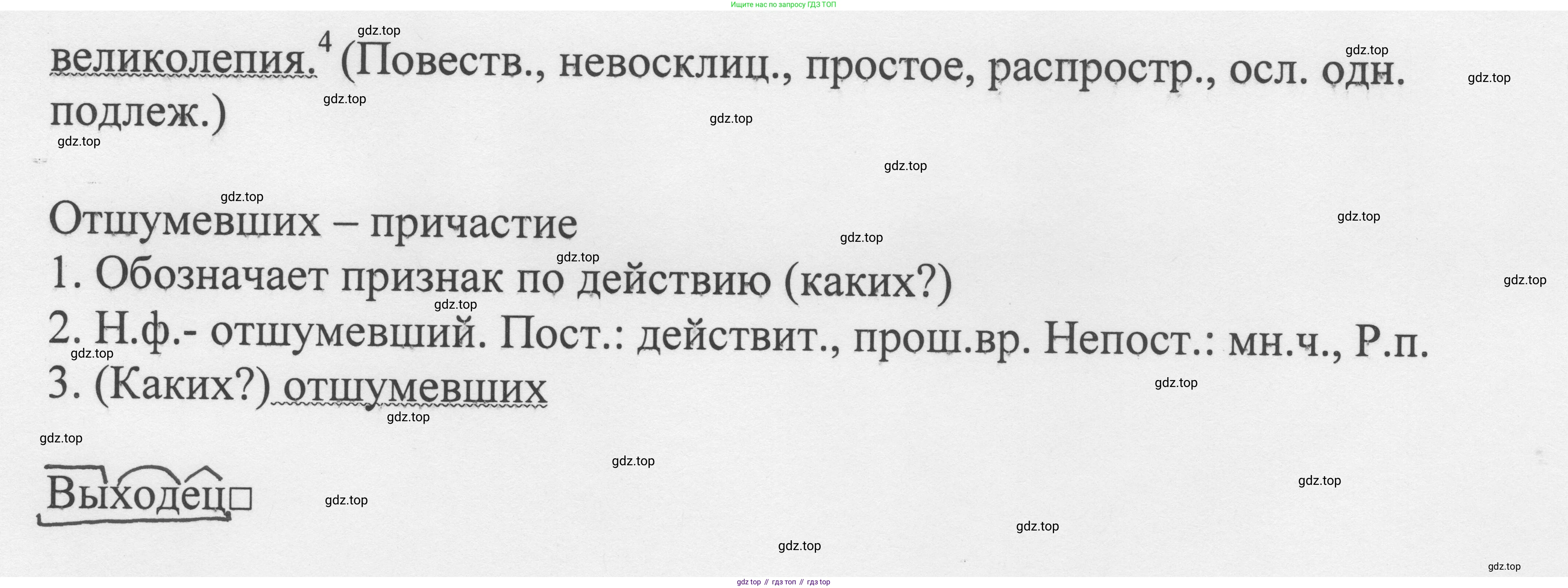 Русский язык, 8 класс Учебник, авторы: Бархударов Степан Григорьевич, Крючков Сергей Ефимович, Максимов Леонард Юрьевич, Чешко Лев Антонович, Николина Наталия Анатольевна, Мишина Клара Ивановна, Текучева Ирина Викторовна, Курцева Зоя Ивановна, Комиссарова Людмила Юрьевна, издательство Просвещение, Москва, 2023, зелёного цвета, страница 215, номер 425, Решение 1 (2023-2027) (продолжение 2)