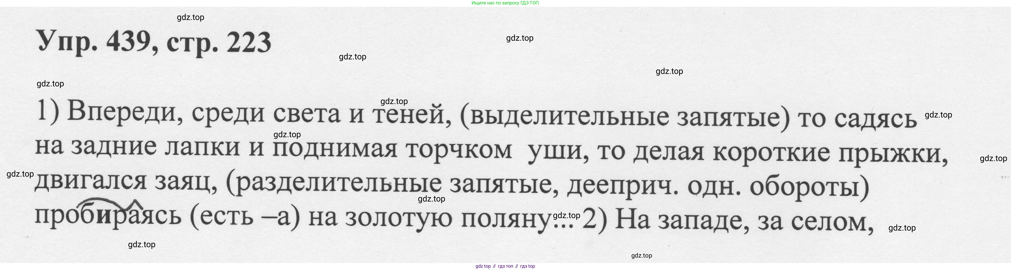 Русский язык, 8 класс Учебник, авторы: Бархударов Степан Григорьевич, Крючков Сергей Ефимович, Максимов Леонард Юрьевич, Чешко Лев Антонович, Николина Наталия Анатольевна, Мишина Клара Ивановна, Текучева Ирина Викторовна, Курцева Зоя Ивановна, Комиссарова Людмила Юрьевна, издательство Просвещение, Москва, 2023, зелёного цвета, страница 223, номер 439, Решение 1 (2023-2027)