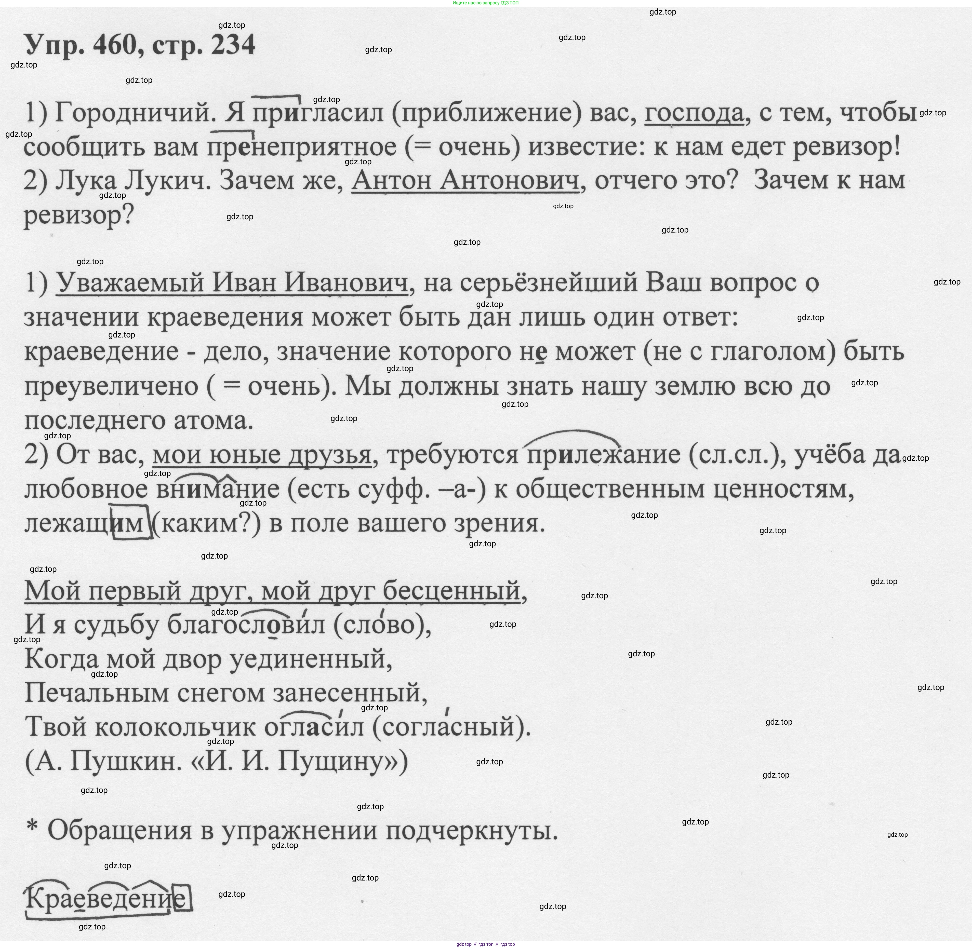 Русский язык, 8 класс Учебник, авторы: Бархударов Степан Григорьевич, Крючков Сергей Ефимович, Максимов Леонард Юрьевич, Чешко Лев Антонович, Николина Наталия Анатольевна, Мишина Клара Ивановна, Текучева Ирина Викторовна, Курцева Зоя Ивановна, Комиссарова Людмила Юрьевна, издательство Просвещение, Москва, 2023, зелёного цвета, страница 234, номер 460, Решение 1 (2023-2027)