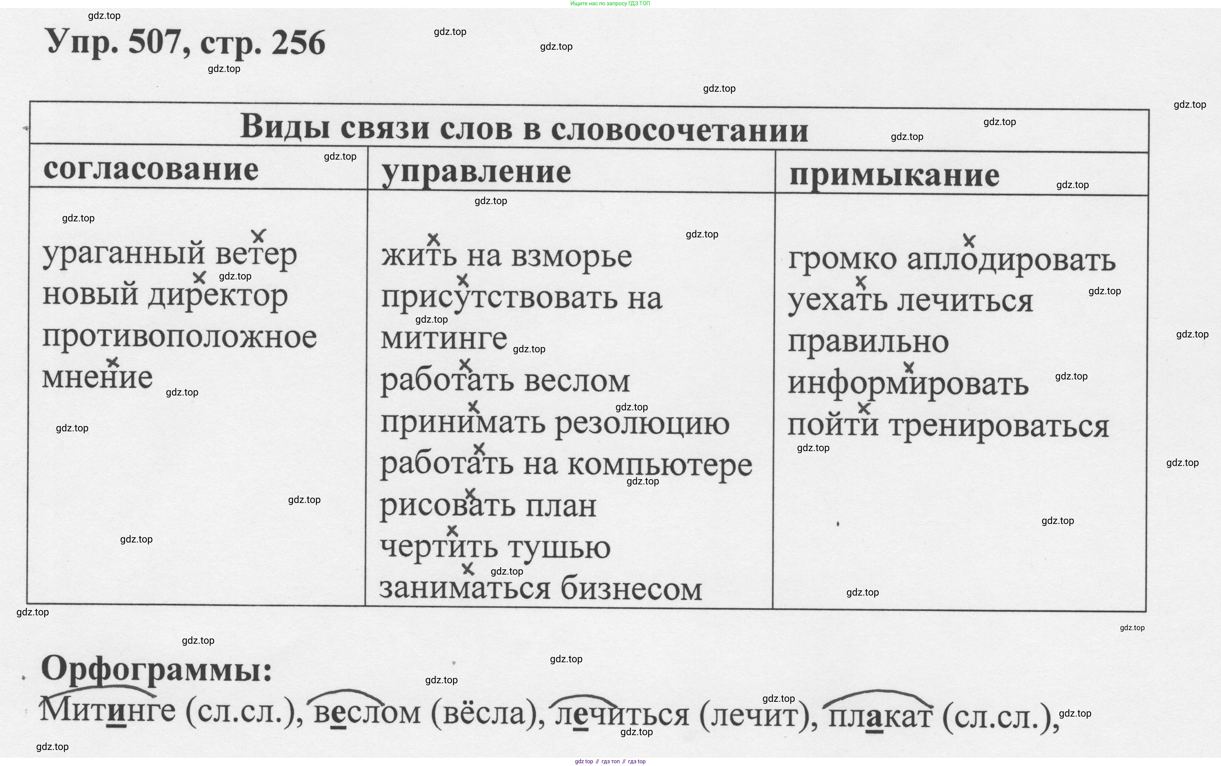 Русский язык, 8 класс Учебник, авторы: Бархударов Степан Григорьевич, Крючков Сергей Ефимович, Максимов Леонард Юрьевич, Чешко Лев Антонович, Николина Наталия Анатольевна, Мишина Клара Ивановна, Текучева Ирина Викторовна, Курцева Зоя Ивановна, Комиссарова Людмила Юрьевна, издательство Просвещение, Москва, 2023, зелёного цвета, страница 256, номер 507, Решение 1 (2023-2027)