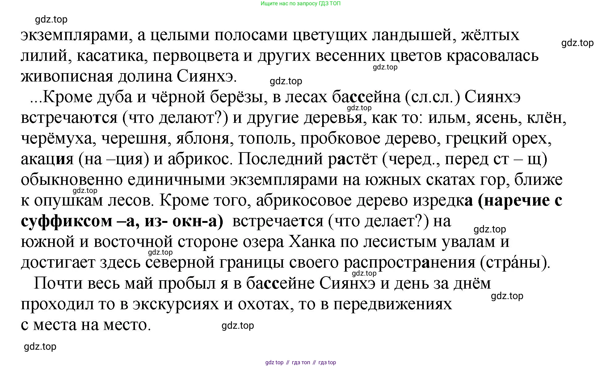 Русский язык, 8 класс Учебник, авторы: Бархударов Степан Григорьевич, Крючков Сергей Ефимович, Максимов Леонард Юрьевич, Чешко Лев Антонович, Николина Наталия Анатольевна, Мишина Клара Ивановна, Текучева Ирина Викторовна, Курцева Зоя Ивановна, Комиссарова Людмила Юрьевна, издательство Просвещение, Москва, 2023, зелёного цвета, страница 262, номер 519, Решение 1 (2023-2027) (продолжение 2)