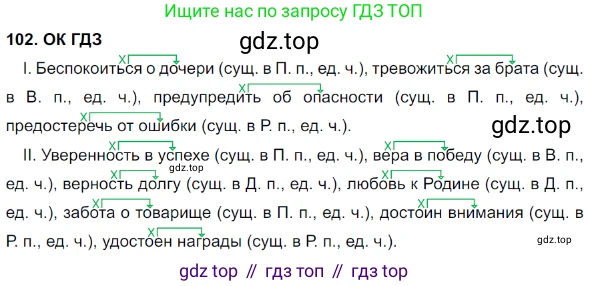 Русский язык, 8 класс Учебник, авторы: Бархударов Степан Григорьевич, Крючков Сергей Ефимович, Максимов Леонард Юрьевич, Чешко Лев Антонович, Николина Наталия Анатольевна, Мишина Клара Ивановна, Текучева Ирина Викторовна, Курцева Зоя Ивановна, Комиссарова Людмила Юрьевна, издательство Просвещение, Москва, 2023, зелёного цвета, страница 53, номер 102, Решение 3 (2023-2027)