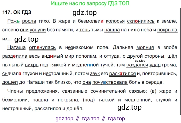 Русский язык, 8 класс Учебник, авторы: Бархударов Степан Григорьевич, Крючков Сергей Ефимович, Максимов Леонард Юрьевич, Чешко Лев Антонович, Николина Наталия Анатольевна, Мишина Клара Ивановна, Текучева Ирина Викторовна, Курцева Зоя Ивановна, Комиссарова Людмила Юрьевна, издательство Просвещение, Москва, 2023, зелёного цвета, страница 60, номер 117, Решение 3 (2023-2027)
