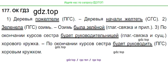 Русский язык, 8 класс Учебник, авторы: Бархударов Степан Григорьевич, Крючков Сергей Ефимович, Максимов Леонард Юрьевич, Чешко Лев Антонович, Николина Наталия Анатольевна, Мишина Клара Ивановна, Текучева Ирина Викторовна, Курцева Зоя Ивановна, Комиссарова Людмила Юрьевна, издательство Просвещение, Москва, 2023, зелёного цвета, страница 91, номер 177, Решение 3 (2023-2027)