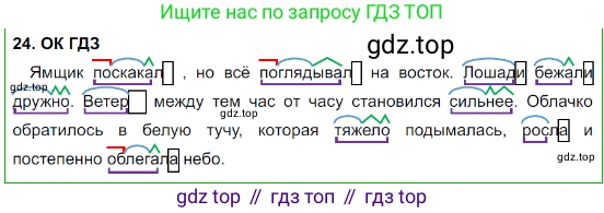 Русский язык, 8 класс Учебник, авторы: Бархударов Степан Григорьевич, Крючков Сергей Ефимович, Максимов Леонард Юрьевич, Чешко Лев Антонович, Николина Наталия Анатольевна, Мишина Клара Ивановна, Текучева Ирина Викторовна, Курцева Зоя Ивановна, Комиссарова Людмила Юрьевна, издательство Просвещение, Москва, 2023, зелёного цвета, страница 16, номер 24, Решение 3 (2023-2027)