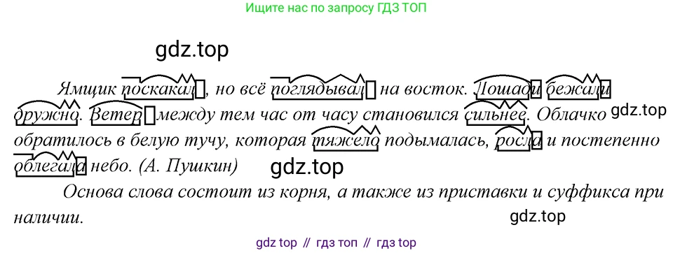 Русский язык, 8 класс Учебник, авторы: Бархударов Степан Григорьевич, Крючков Сергей Ефимович, Максимов Леонард Юрьевич, Чешко Лев Антонович, Николина Наталия Анатольевна, Мишина Клара Ивановна, Текучева Ирина Викторовна, Курцева Зоя Ивановна, Комиссарова Людмила Юрьевна, издательство Просвещение, Москва, 2023, зелёного цвета, страница 16, номер 24, Решение 4