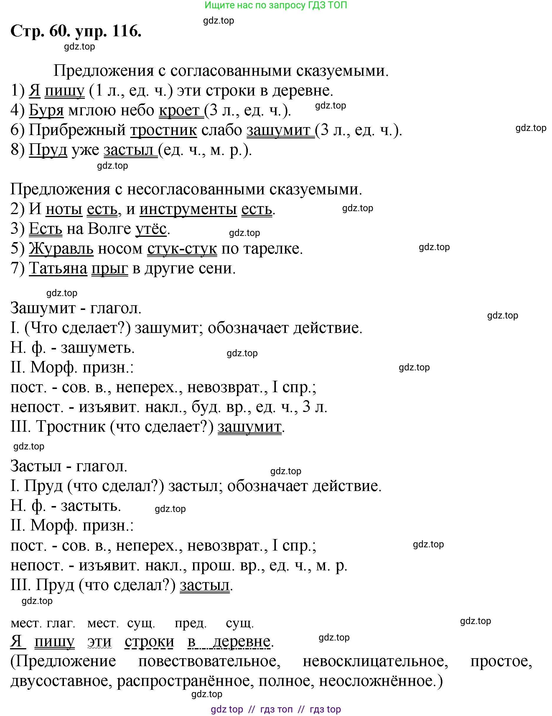 Русский язык, 8 класс Учебник, авторы: Бархударов Степан Григорьевич, Крючков Сергей Ефимович, Максимов Леонард Юрьевич, Чешко Лев Антонович, Николина Наталия Анатольевна, Мишина Клара Ивановна, Текучева Ирина Викторовна, Курцева Зоя Ивановна, Комиссарова Людмила Юрьевна, издательство Просвещение, Москва, 2023, зелёного цвета, страница 60, номер 116, Решение 1 (2024-2027)