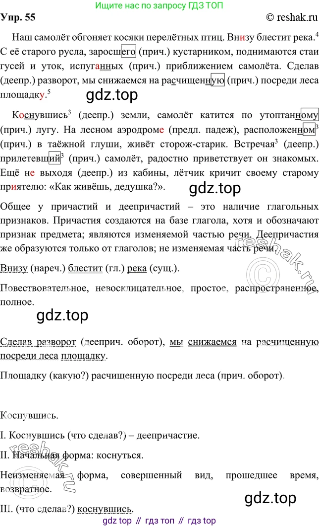 Русский язык, 8 класс Учебник, авторы: Бархударов Степан Григорьевич, Крючков Сергей Ефимович, Максимов Леонард Юрьевич, Чешко Лев Антонович, Николина Наталия Анатольевна, Мишина Клара Ивановна, Текучева Ирина Викторовна, Курцева Зоя Ивановна, Комиссарова Людмила Юрьевна, издательство Просвещение, Москва, 2023, зелёного цвета, страница 27, номер 55, Решение 2 (2019-2022)