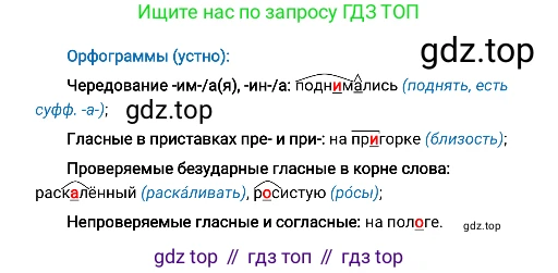 Русский язык, 8 класс Учебник, авторы: Бархударов Степан Григорьевич, Крючков Сергей Ефимович, Максимов Леонард Юрьевич, Чешко Лев Антонович, Николина Наталия Анатольевна, Мишина Клара Ивановна, Текучева Ирина Викторовна, Курцева Зоя Ивановна, Комиссарова Людмила Юрьевна, издательство Просвещение, Москва, 2023, зелёного цвета, страница 155, номер 310, Решение 4 (2019-2022) (продолжение 2)