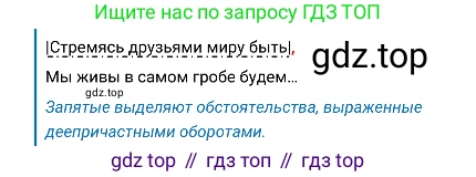 Русский язык, 8 класс Учебник, авторы: Бархударов Степан Григорьевич, Крючков Сергей Ефимович, Максимов Леонард Юрьевич, Чешко Лев Антонович, Николина Наталия Анатольевна, Мишина Клара Ивановна, Текучева Ирина Викторовна, Курцева Зоя Ивановна, Комиссарова Людмила Юрьевна, издательство Просвещение, Москва, 2023, зелёного цвета, страница 246, номер 489, Решение 4 (2019-2022) (продолжение 2)