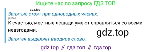 Русский язык, 8 класс Учебник, авторы: Бархударов Степан Григорьевич, Крючков Сергей Ефимович, Максимов Леонард Юрьевич, Чешко Лев Антонович, Николина Наталия Анатольевна, Мишина Клара Ивановна, Текучева Ирина Викторовна, Курцева Зоя Ивановна, Комиссарова Людмила Юрьевна, издательство Просвещение, Москва, 2023, зелёного цвета, страница 256, номер 507, Решение 4 (2019-2022) (продолжение 4)