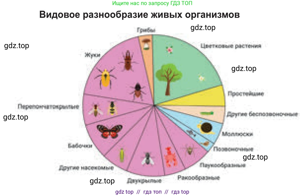 Русский язык, 8 класс Учебник, авторы: Капенова Жанарсын Жуматовна, Валова Мария Валерьевна, Мирошникова Наталья Владимировна, издательство Арман-ПВ, Астана, 2018, страница 85, номер 2, Условие (продолжение 2)