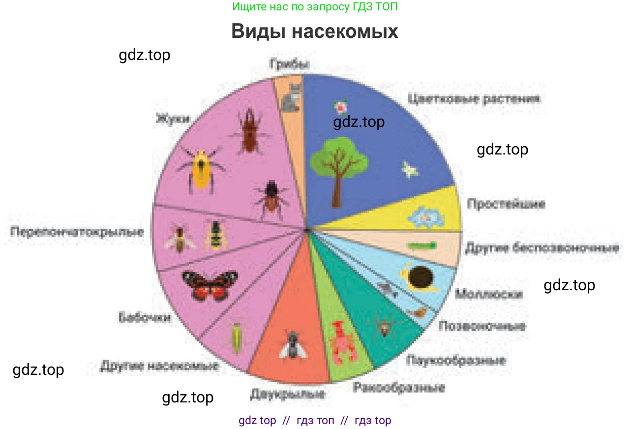 Русский язык, 8 класс Учебник, авторы: Капенова Жанарсын Жуматовна, Валова Мария Валерьевна, Мирошникова Наталья Владимировна, издательство Арман-ПВ, Астана, 2018, страница 85, номер 2, Условие (продолжение 3)