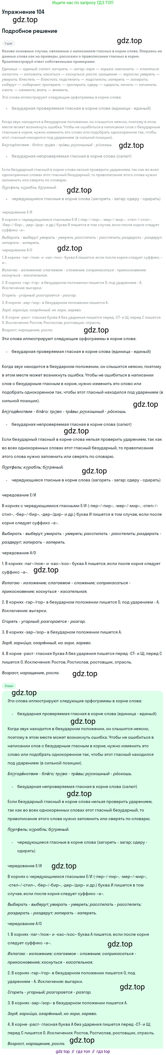 ГДЗ Русский язык, 8 класс Учебник, авторы: Пичугов Юрий Степанович, Еремеева Ангелина Павловна, Купалова Александра Юльевна, Леденёва В В, Лидман-Орлова Галина Кузьминична, Молодцова Светлана Николаевна, Пахнова Т М, Пименова Светлана Николаевна, Талалаева Л Ф, Фоминых Б И, издательство Просвещение, Москва, 2021, белого цвета, страница 59, номер 104, Решение 2