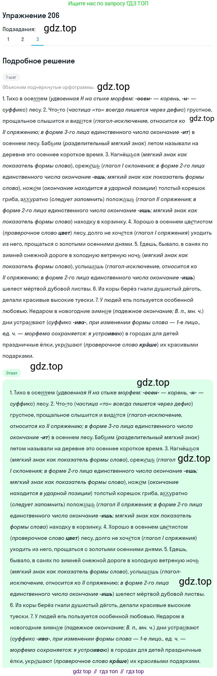 ГДЗ Русский язык, 8 класс Учебник, авторы: Пичугов Юрий Степанович, Еремеева Ангелина Павловна, Купалова Александра Юльевна, Леденёва В В, Лидман-Орлова Галина Кузьминична, Молодцова Светлана Николаевна, Пахнова Т М, Пименова Светлана Николаевна, Талалаева Л Ф, Фоминых Б И, издательство Просвещение, Москва, 2021, белого цвета, страница 96, номер 206, Решение 2 (продолжение 3)