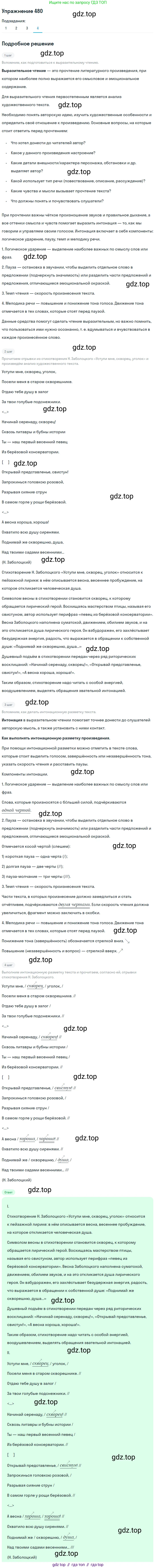 ГДЗ Русский язык, 8 класс Учебник, авторы: Пичугов Юрий Степанович, Еремеева Ангелина Павловна, Купалова Александра Юльевна, Леденёва В В, Лидман-Орлова Галина Кузьминична, Молодцова Светлана Николаевна, Пахнова Т М, Пименова Светлана Николаевна, Талалаева Л Ф, Фоминых Б И, издательство Просвещение, Москва, 2021, белого цвета, страница 220, номер 480, Решение 2 (продолжение 4)