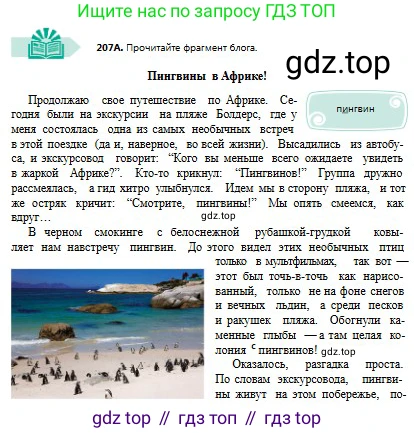 Русский язык, 8 класс Учебник, авторы: Сабитова Зинаида Какбаевна, Скляренко Ксения Сергеевна, издательство Мектеп, Алматы, 2018, страница 132, номер 207, Условия