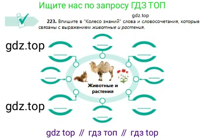 Русский язык, 8 класс Учебник, авторы: Сабитова Зинаида Какбаевна, Скляренко Ксения Сергеевна, издательство Мектеп, Алматы, 2018, страница 142, номер 223, Условия