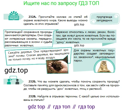 Русский язык, 8 класс Учебник, авторы: Сабитова Зинаида Какбаевна, Скляренко Ксения Сергеевна, издательство Мектеп, Алматы, 2018, страница 148, номер 232, Условия