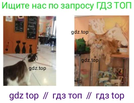 Русский язык, 8 класс Учебник, авторы: Сабитова Зинаида Какбаевна, Скляренко Ксения Сергеевна, издательство Мектеп, Алматы, 2018, страница 59, номер 90, Условия (продолжение 2)