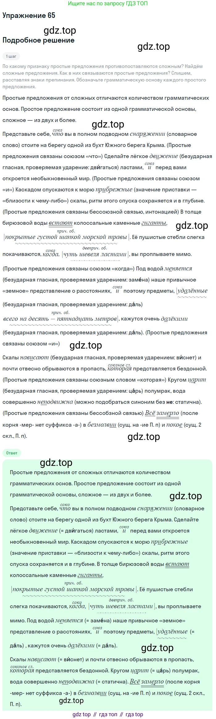 Русский язык, 9 класс Учебник, авторы: Бархударов Степан Григорьевич, Крючков Сергей Ефимович, Максимов Леонард Юрьевич, Чешко Лев Антонович, Николина Наталия Анатольевна, Мишина Клара Ивановна, Текучева Ирина Викторовна, Курцева Зоя Ивановна, Комиссарова Людмила Юрьевна, издательство Просвещение, Москва, 2023, салатового цвета, страница 33, номер 65, Решение 2019-2022