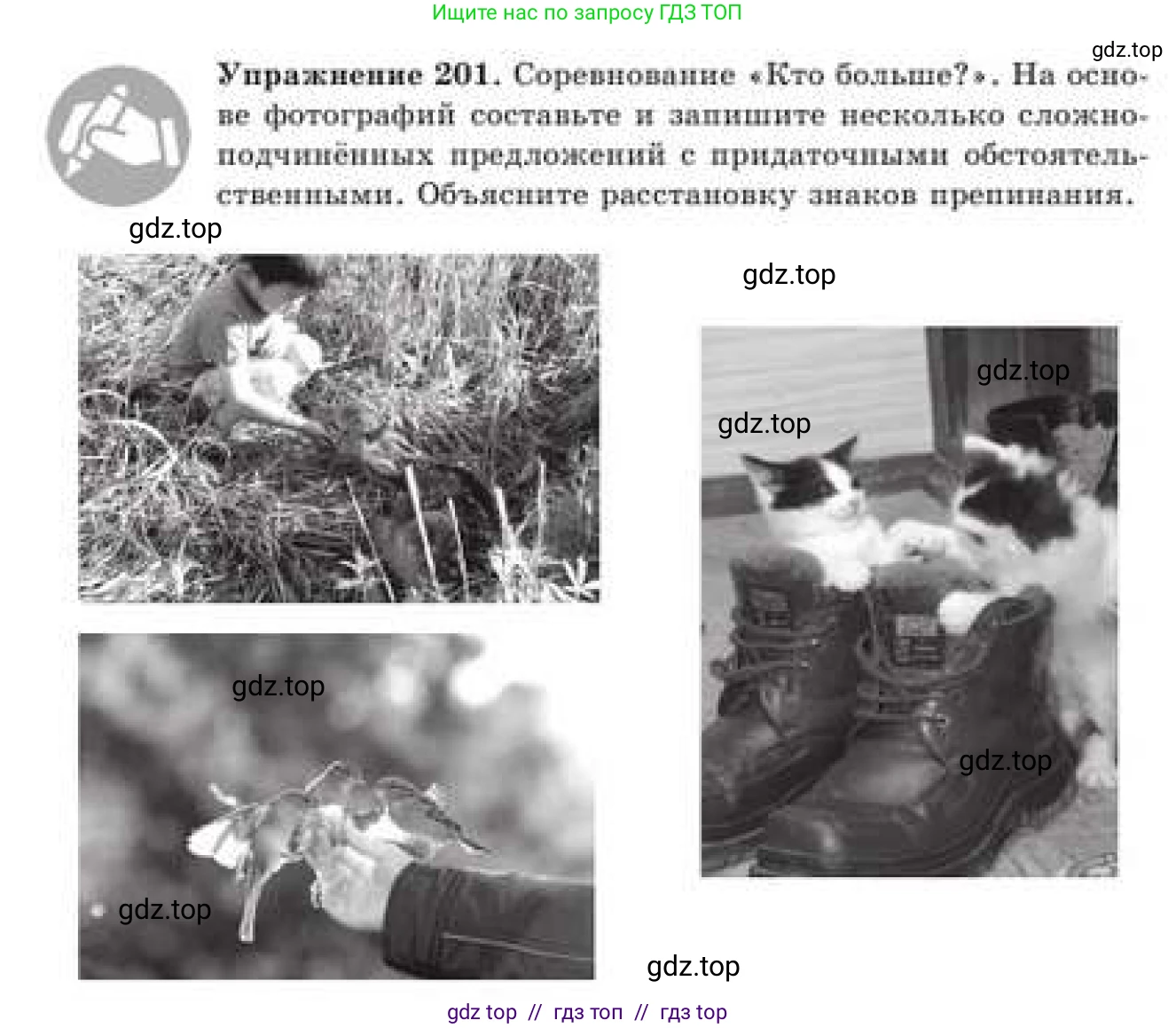 Русский язык, 9 класс Учебник, авторы: Кульгильдинова Тулебике Алимжановна, Кажигалиева Гульмира Абзалхановна, Багдашкина Ирина Васильевна, издательство Атамұра, Алматы, 2019, жёлтого цвета, страница 116, номер 201, Условие