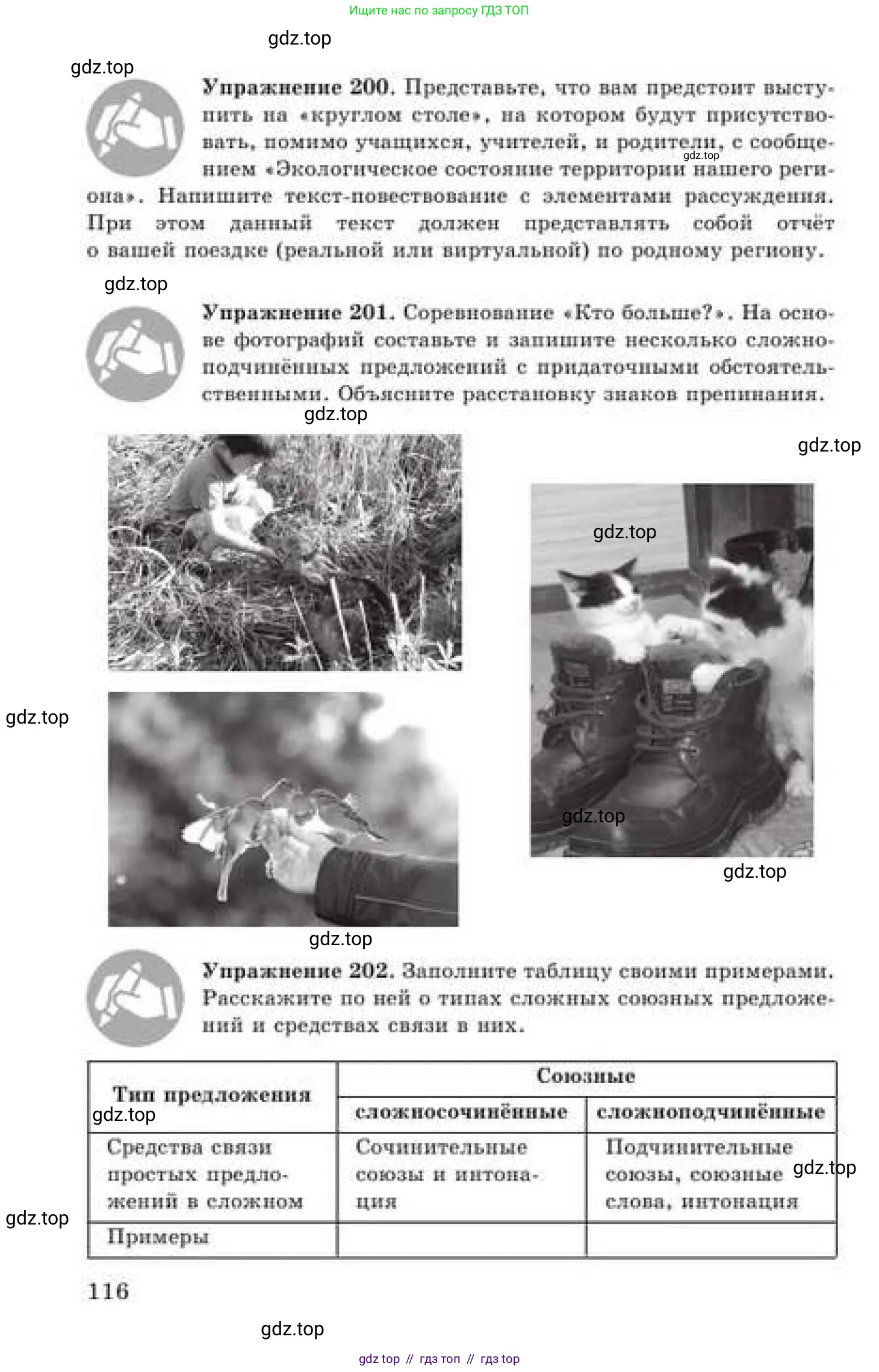 Русский язык, 9 класс Учебник, авторы: Кульгильдинова Тулебике Алимжановна, Кажигалиева Гульмира Абзалхановна, Багдашкина Ирина Васильевна, издательство Атамұра, Алматы, 2019, жёлтого цвета, страница 116