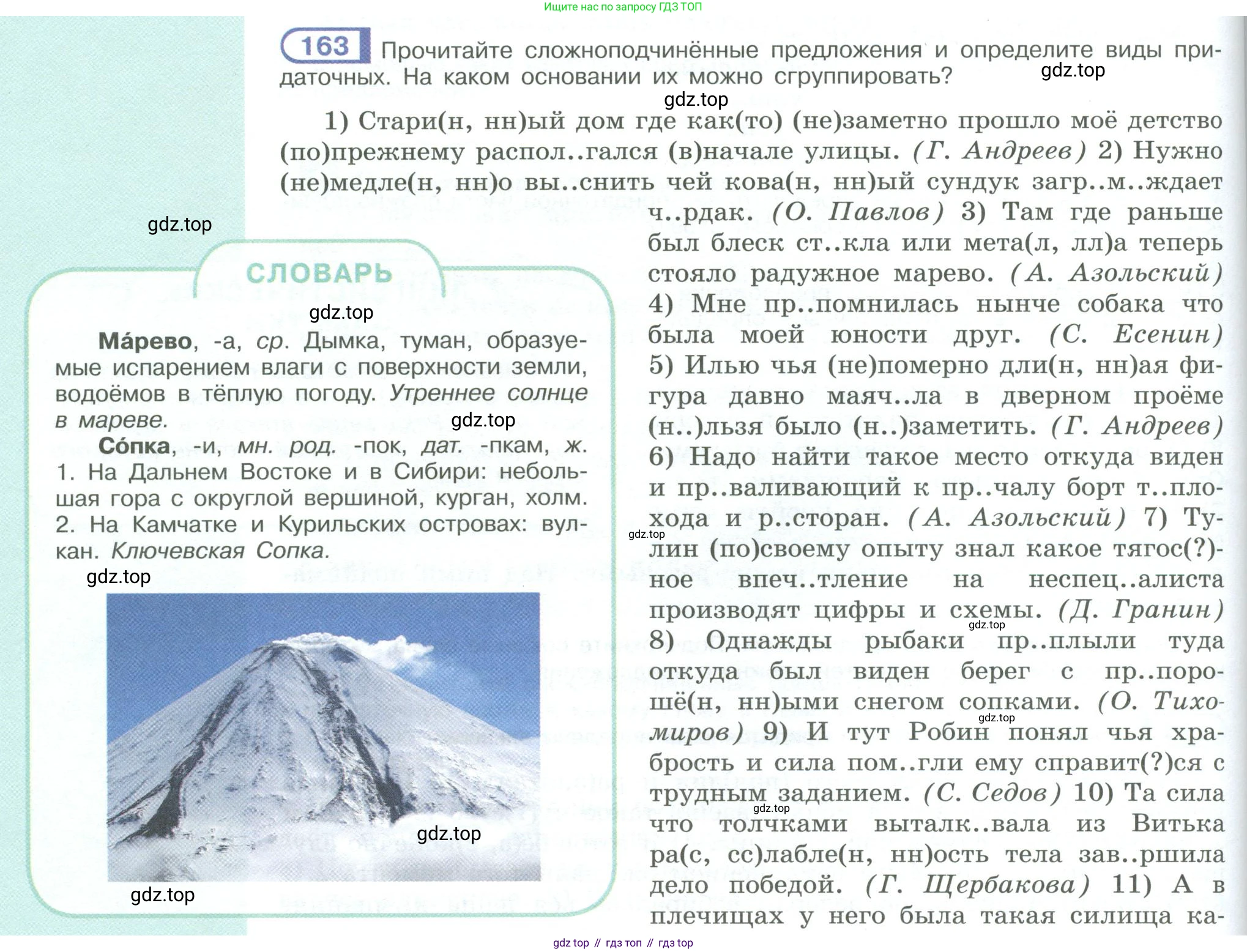ГДЗ Русский язык, 9 класс Учебник, авторы: Рыбченкова Лидия Макаровна, Александрова Ольга Макаровна, Загоровская Ольга Владимировна, Нарушевич Андрей Георгиевич, Григорьев Андрей Владимирович, издательство Просвещение, Москва, 2019, красного цвета, страница 96, номер 163, Условие