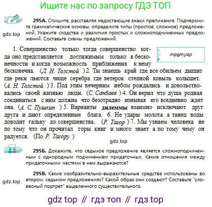 Русский язык, 9 класс Учебник, авторы: Сабитова Зинаида Какбаевна, Бейсембаев Амангельды Ракишевич, издательство Мектеп, Алматы, 2019, страница 188, номер 295, Условие