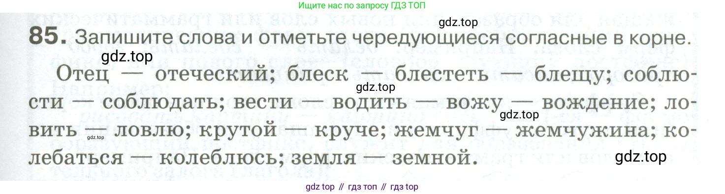 Русский язык, 10-11 класс Учебник, авторы: Гольцова Нина Григорьевна, Шамшин Игорь Викторович, Мищерина Марина Алексеевна, издательство Русское слово, Москва, 2022, белого цвета, Часть 1, страница 89, номер 85, Условие