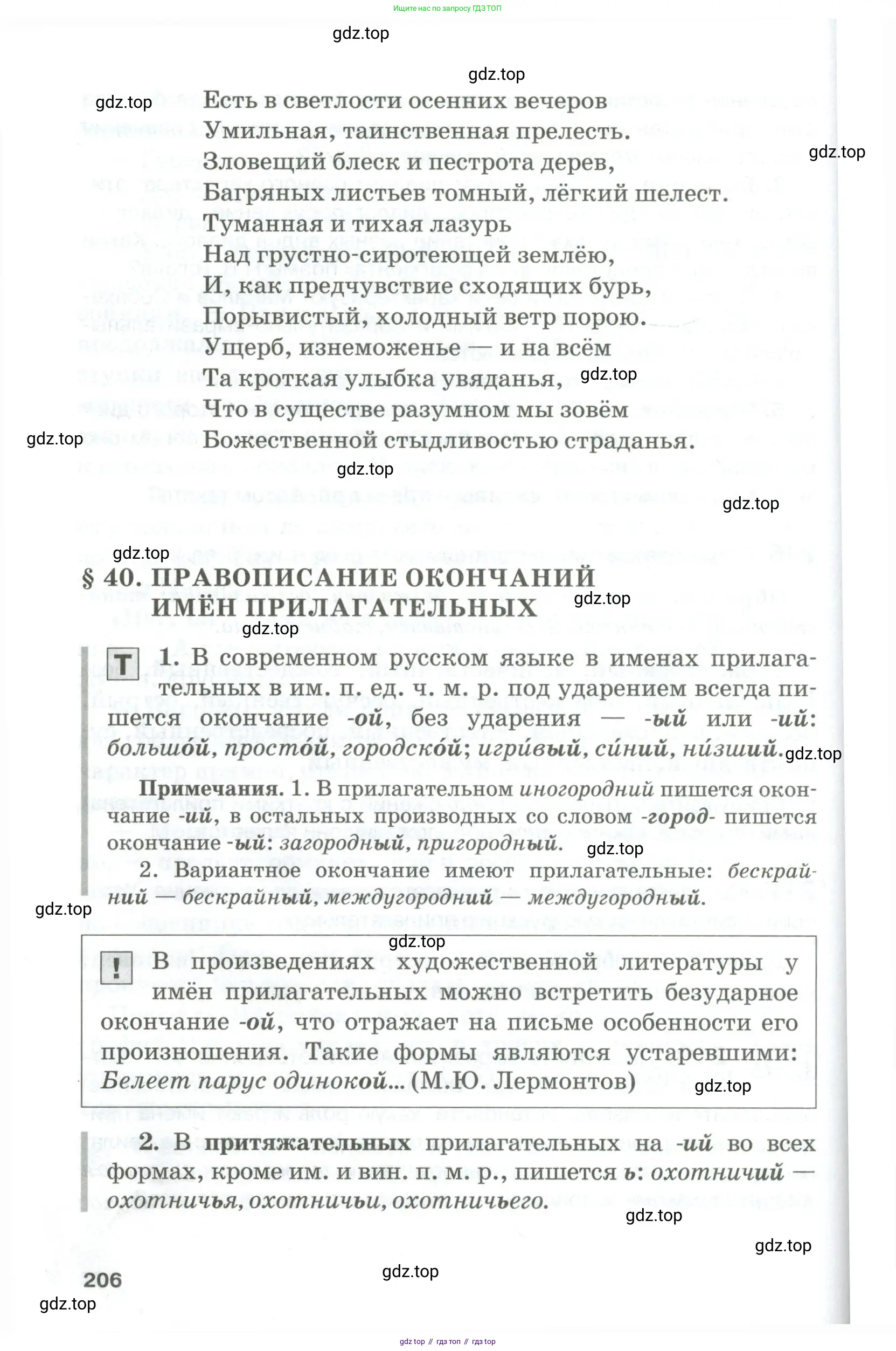 Русский язык, 10-11 класс Учебник, авторы: Гольцова Нина Григорьевна, Шамшин Игорь Викторович, Мищерина Марина Алексеевна, издательство Русское слово, Москва, 2022, белого цвета, страница 206