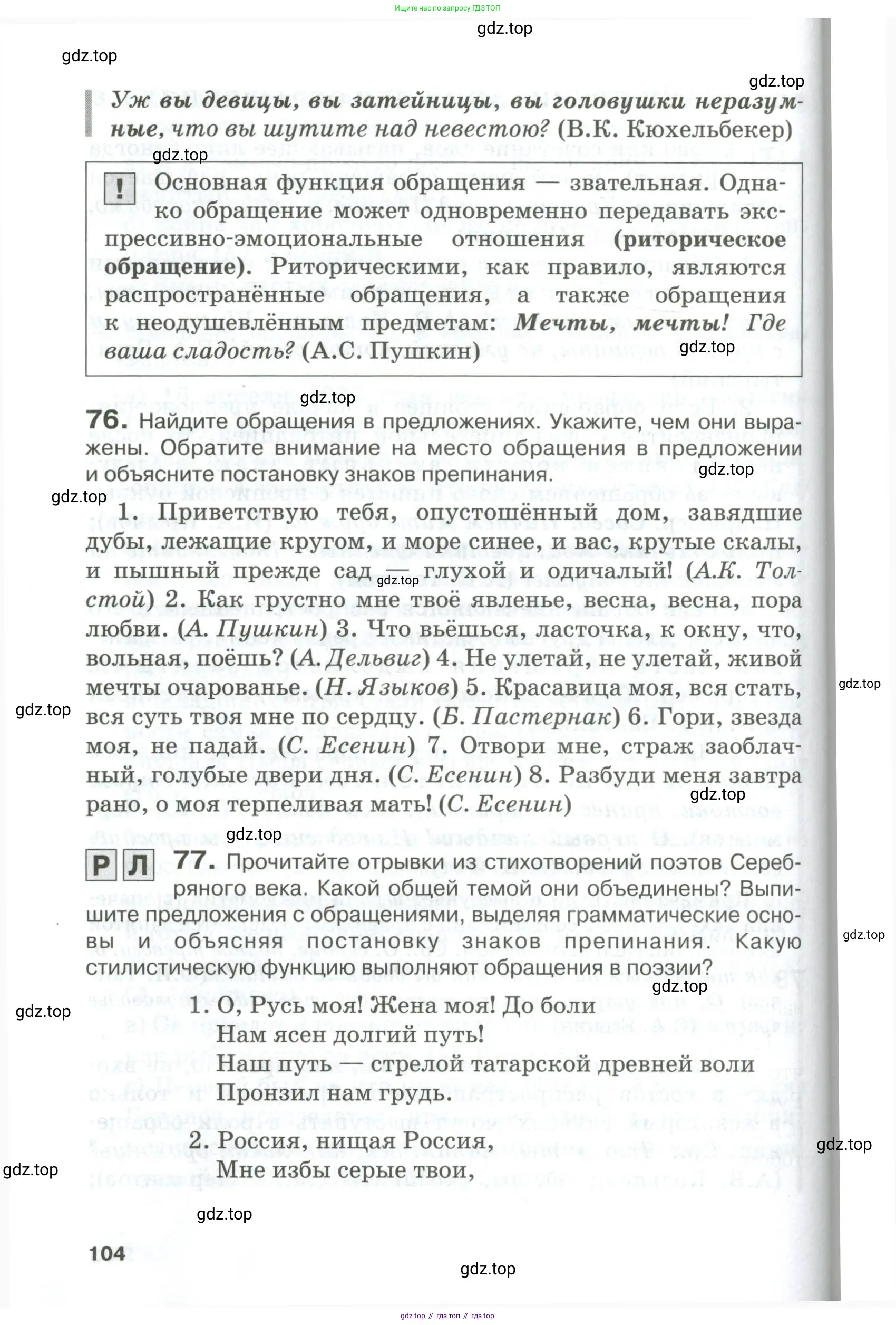 Русский язык, 10-11 класс Учебник, авторы: Гольцова Нина Григорьевна, Шамшин Игорь Викторович, Мищерина Марина Алексеевна, издательство Русское слово, Москва, 2022, белого цвета, Часть 1, страница 104