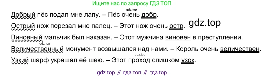 Русский язык, 10-11 класс Учебник, авторы: Гольцова Нина Григорьевна, Шамшин Игорь Викторович, Мищерина Марина Алексеевна, издательство Русское слово, Москва, 2022, белого цвета, Часть 1, страница 205, номер 217, Решение 5